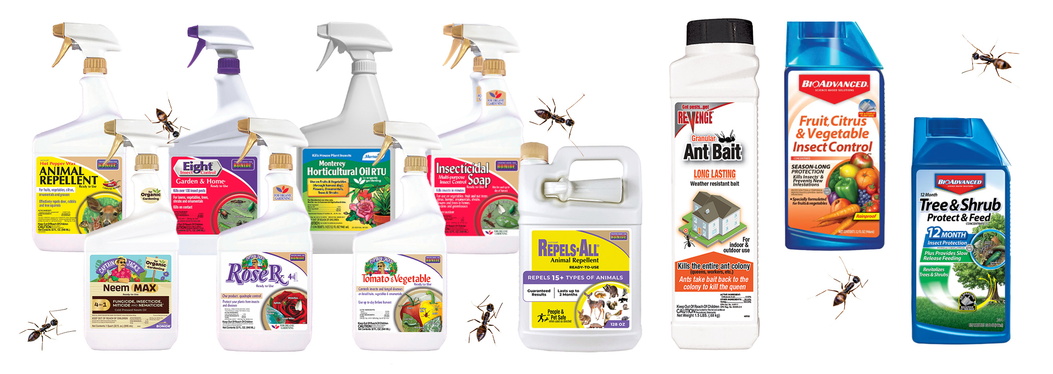 11 different solutions to deter, repel or eliminate ants.