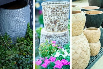 A variety of outdoor pots in different colors, textures and sizes.