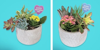 2 Make 'n Take Succulent Bowl Examples for Mothers' Day