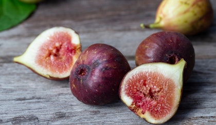 brown fig fruit tree