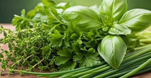 assorted herbs bite size gardens thyme, basil, parsley and chives herbs