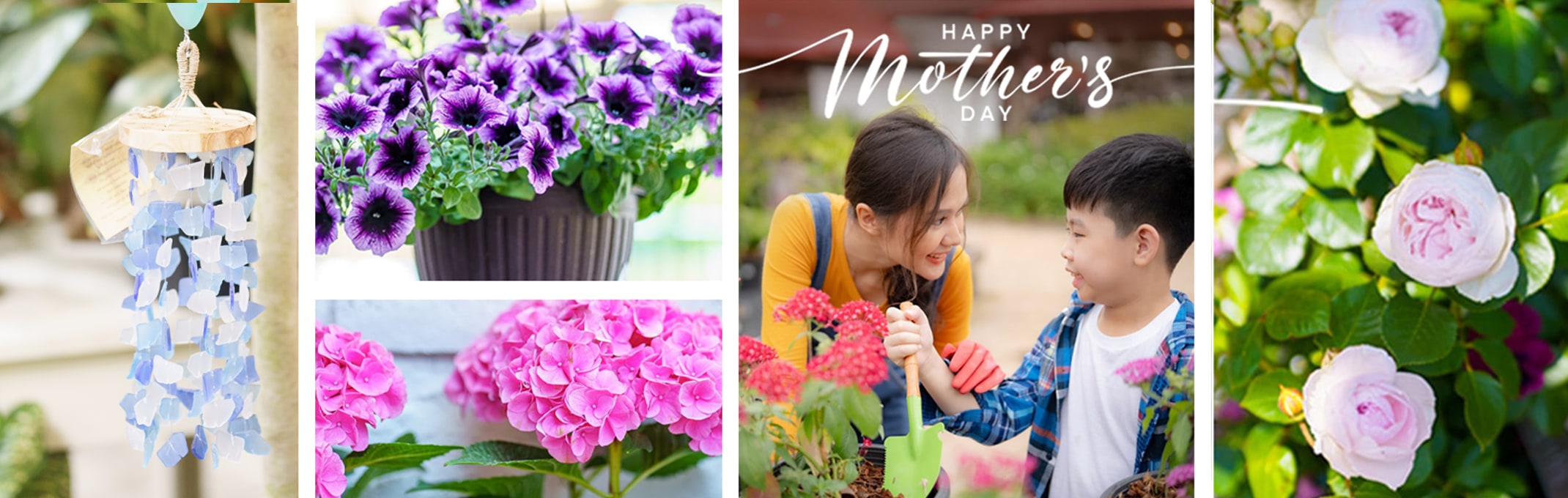 happy mother's day with windchimes, hanging baskets, hydrangeas, roses and mom gardening with son