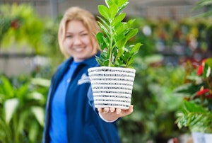A crisp houseplant in the foreground being held by an out of focus SummerWinds Associate in the background.