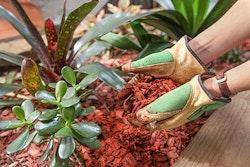 Mulch It Up
