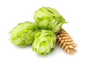 Hops and Wheat