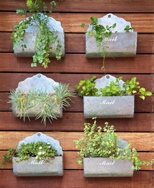 Vertical Gardening