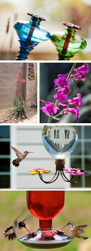 Hummingbird Feeders and Nectar