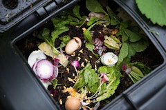 composting composting