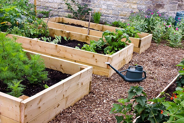 community garden beds summerwinds california