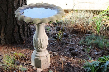 ornate concrete birdbath summerwinds california