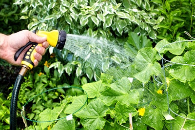 watering plants with soaker hose summerwinds california