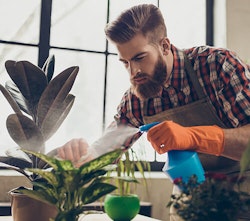 Houseplant Care