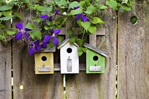 Birdhouses