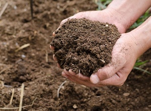 Composting