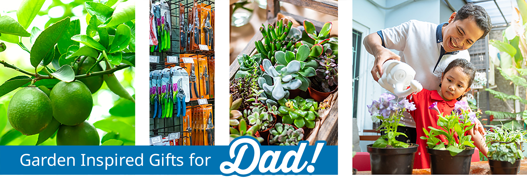 garden inspired gifts for dad for father's day little girl with dad, citrus, tools and succulents