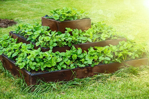 custom raised garden beds summerwinds california