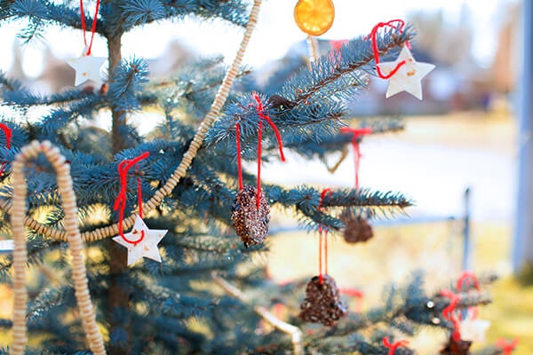 christmas tree with homemade birdseed ornaments summerwinds california