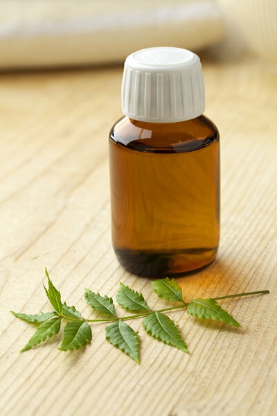 neem oil summerwinds california