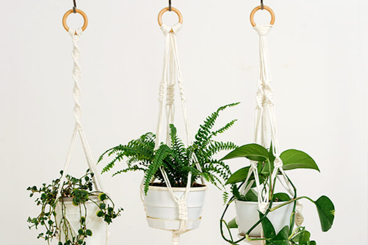 macrame houseplant hangers summerwinds california