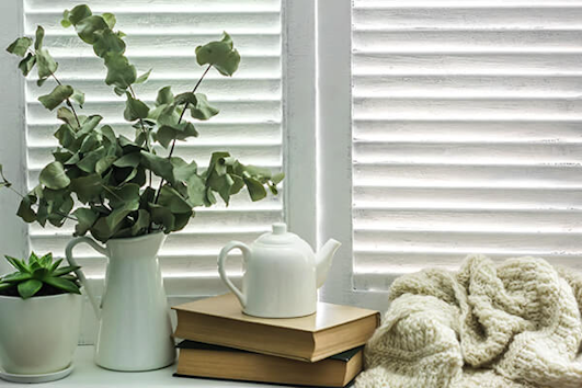 books, teapot, and houseplants on windowsill summerwinds california
