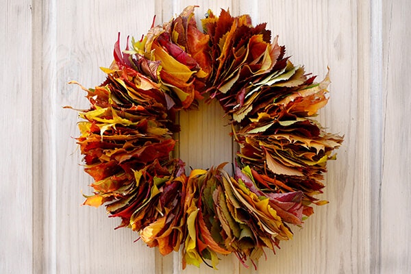 autumn leaf wreath summerwinds california