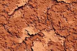 Clay Soil