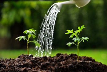 Great Soil