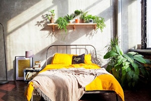 plants in the bedroom