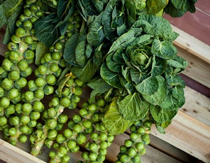 Brussels Sprouts