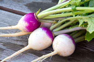 Turnips