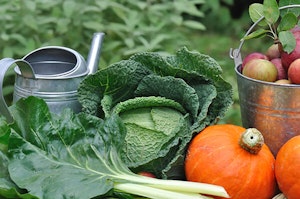 Watering Can