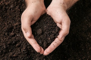 Get Your Hands Dirty