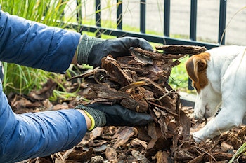 replenish mulch summerwinds california