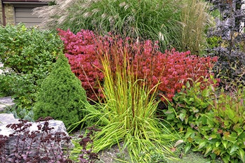 xeriscaping california garden landscape summerwinds california