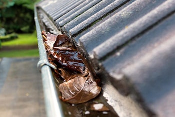 clogged gutters leaves summerwinds california