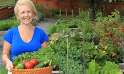 Gardening Therapy and your body