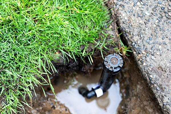 sprinkler head leak summerwinds nursery california