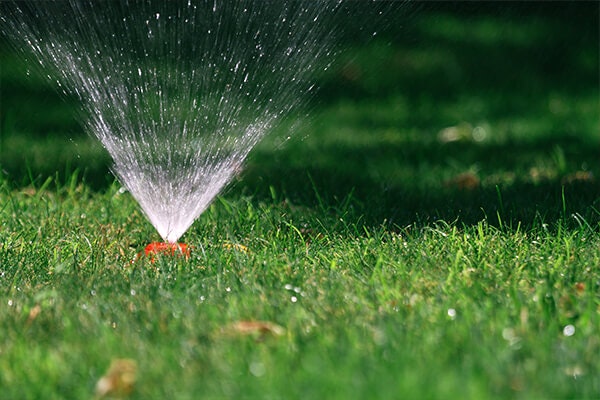 sprinkler summerwinds nursery california