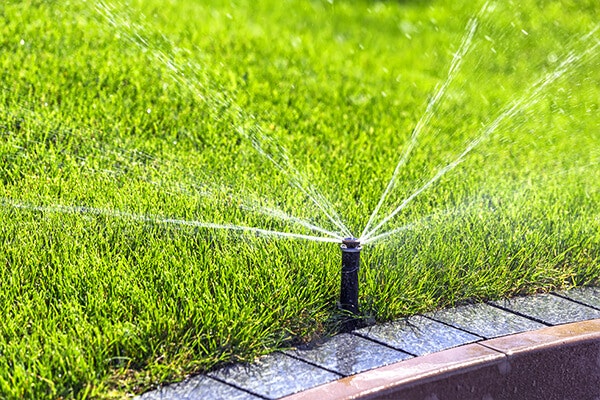 sprinkler summerwinds nursery california