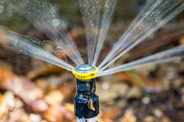 sprinkler summerwinds nursery california