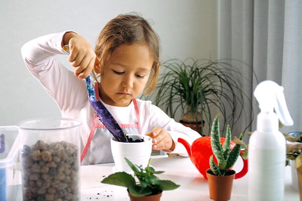 child repotting houseplant summerwinds california