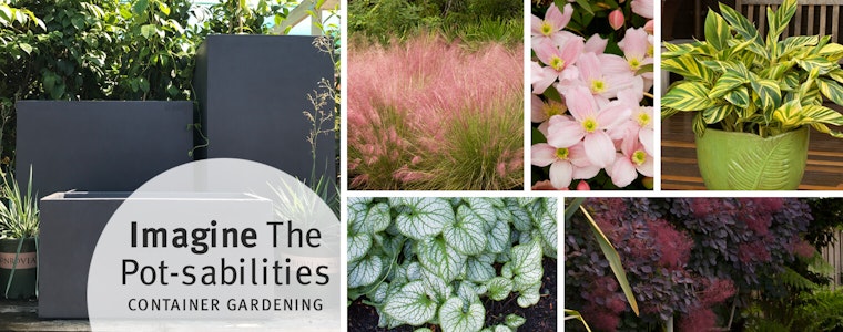 Container Gardening
