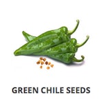 Green Chili Pepper Seeds