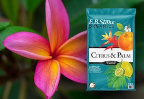 EB Stone Organics Citrus & Palm Soil