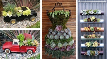 Planting with Found Objects