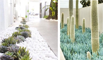 Minimalist Gardens