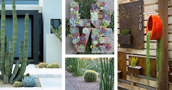 Modern Accents