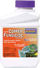 Bonide Liquid Copper Fungicide