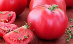 Better Bush Tomato