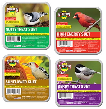 Suet